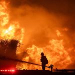 Talk - Gardening in a more erratic climate – 16 February 2026